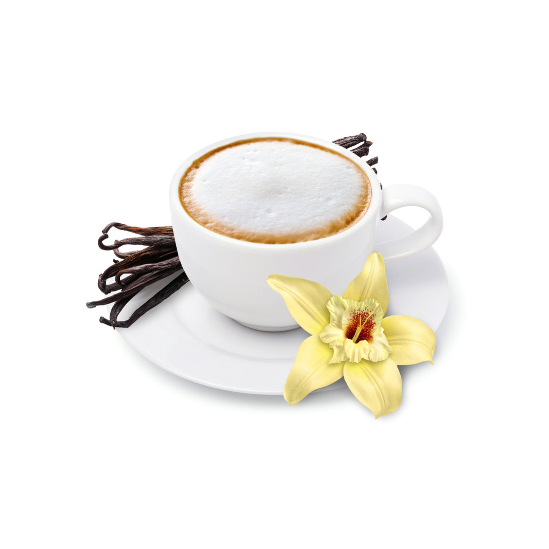 Vanilla Milk Froth – Capella Flavors