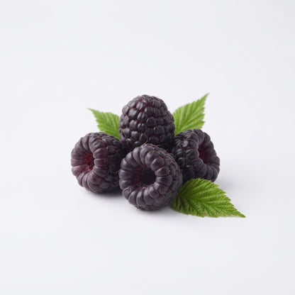Black Raspberry