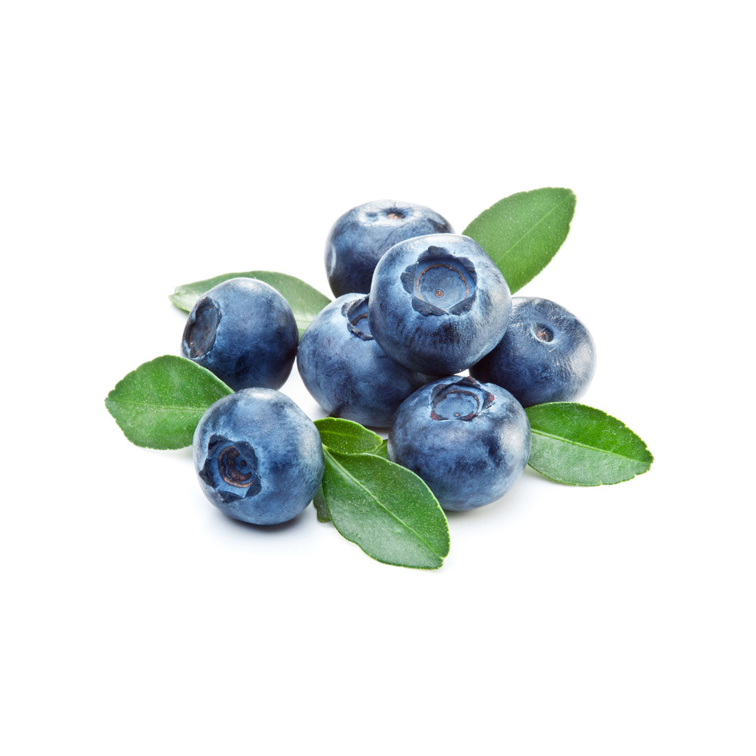 Blueberry Extra