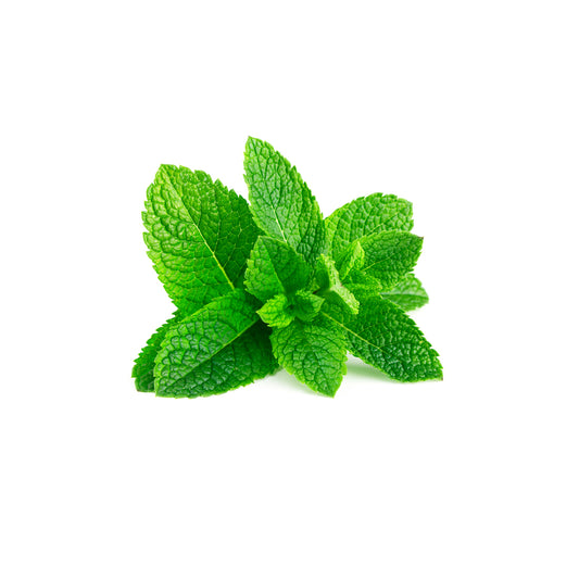 Fresh Spearmint