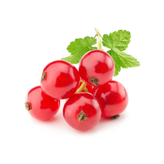 Sweet Currant