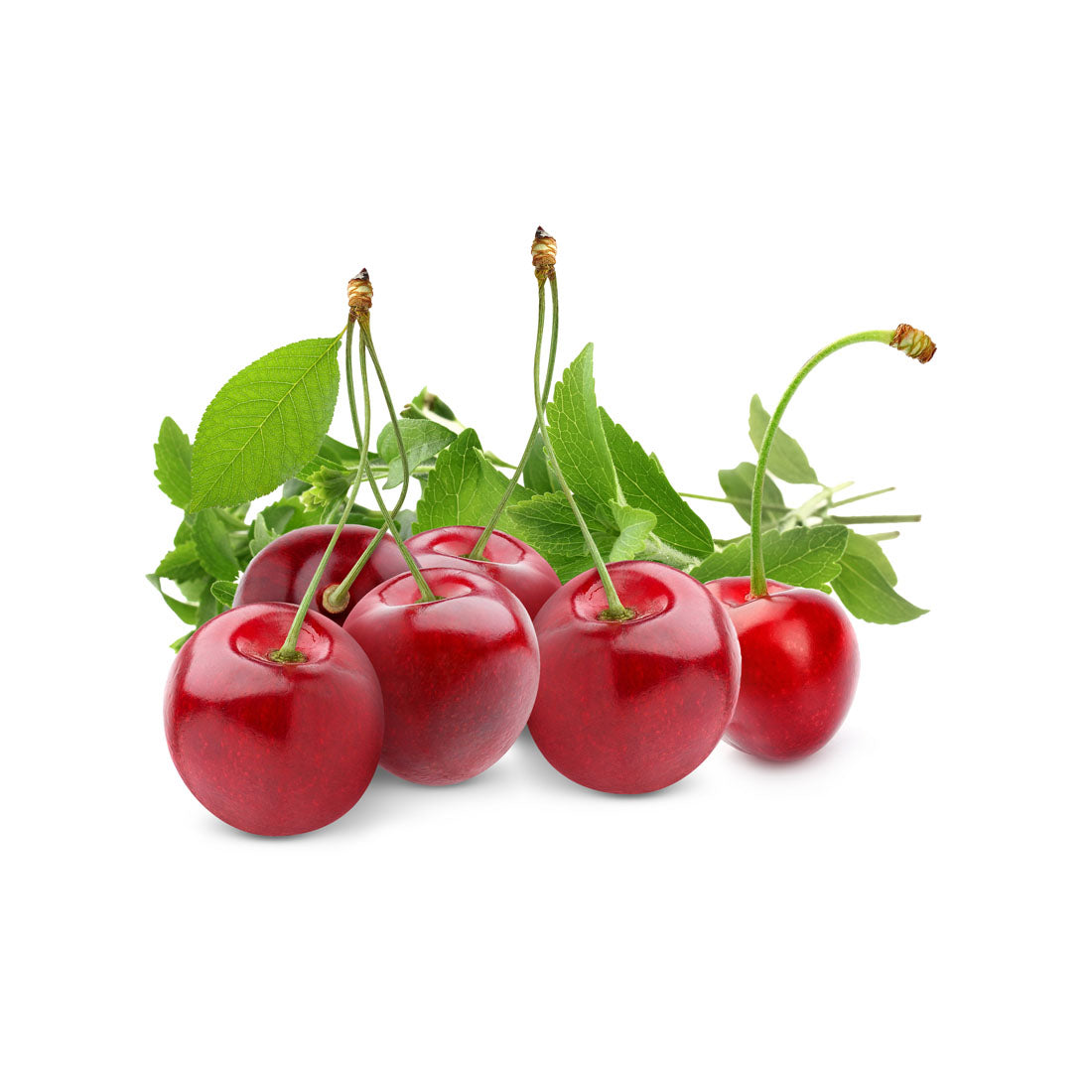 Wild Cherry with Stevia